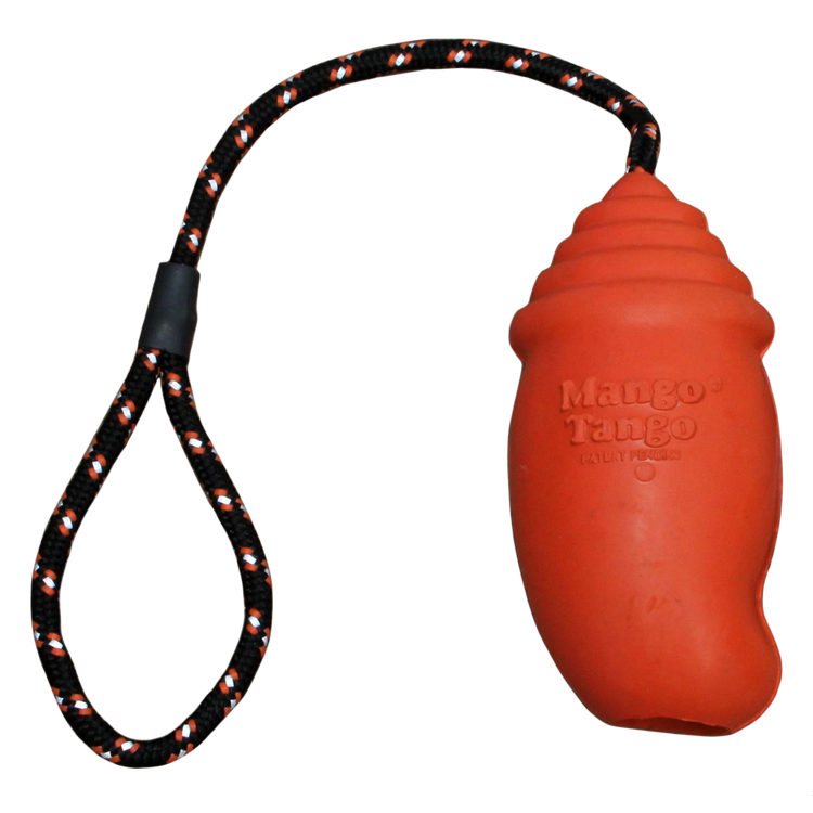 Foto van Fetch Dog Mango Tango Large 14cm