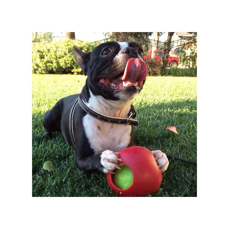 Foto van Jolly Teaser Ball 15 cm Rood