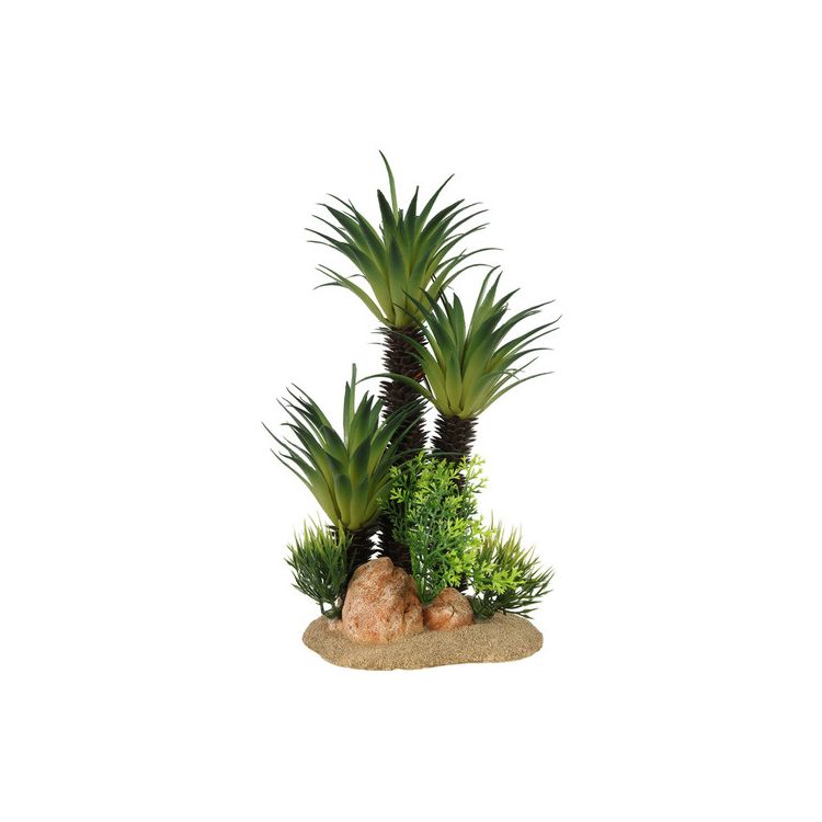 Foto van Aqua Della Sagopalm