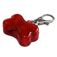 Night Light Bone Small