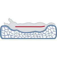 Trixie Vital mand Bendson hoekig