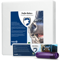 Fosfor Bolus+