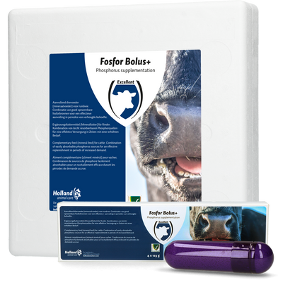 Foto van Fosfor Bolus+