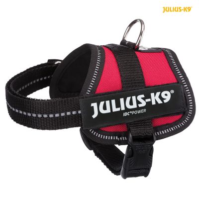 Julius K9® Powertuig Foto van Julius K9® Powertuig