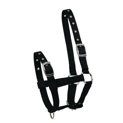 Foto van Waldhausen Veulenhalster verstelbaar