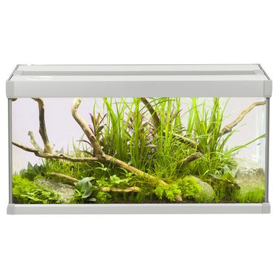 Foto van AkvaStabil Family aquarium