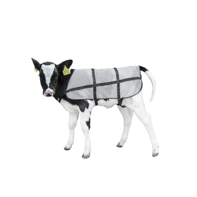 Foto van Bodyguard Zomer dekje Kalf