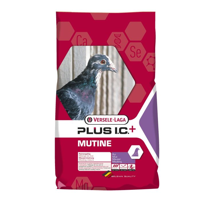 Foto van Versele-Laga I.C.+ Mutine plus i.c.+ rui