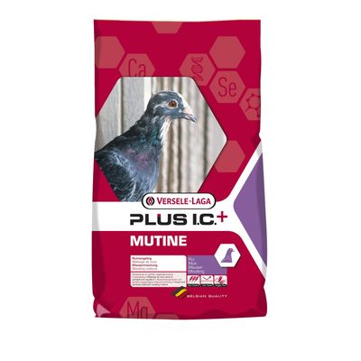 Versele-Laga I.C.+ Mutine plus i.c.+ rui Foto van Versele-Laga I.C.+ Mutine plus i.c.+ rui