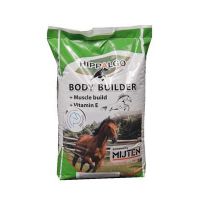 Hippalgo Body Builder