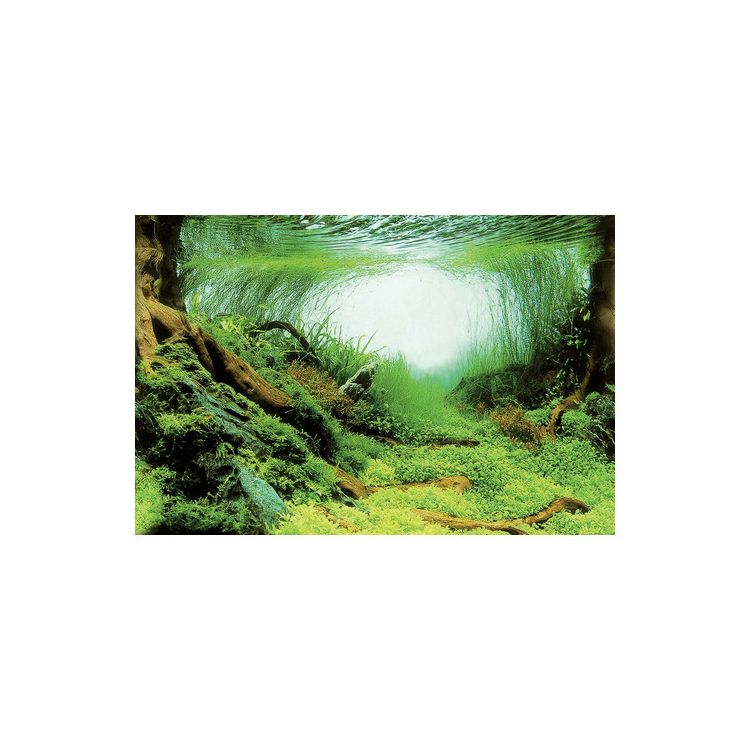 Foto van SuperFish Deco Poster