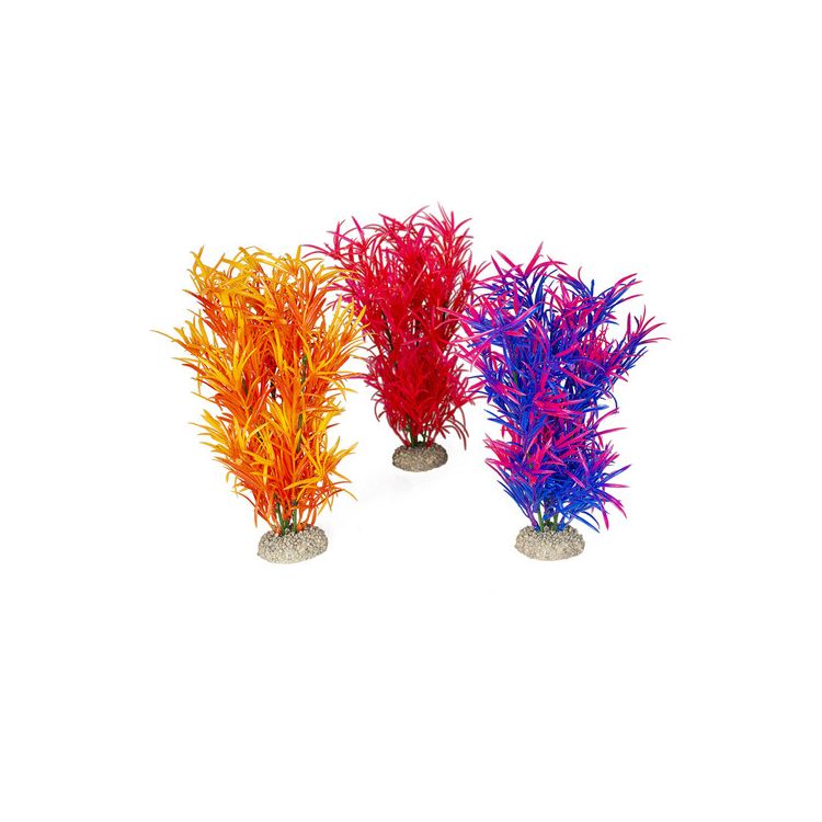 Foto van Aqua Della Decor plant Hydrilla