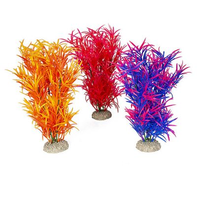 Foto van Aqua Della Decor plant Hydrilla