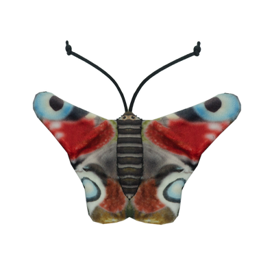Foto van Wild Life Cat Peacock Butterfly (Dagpauwoog)