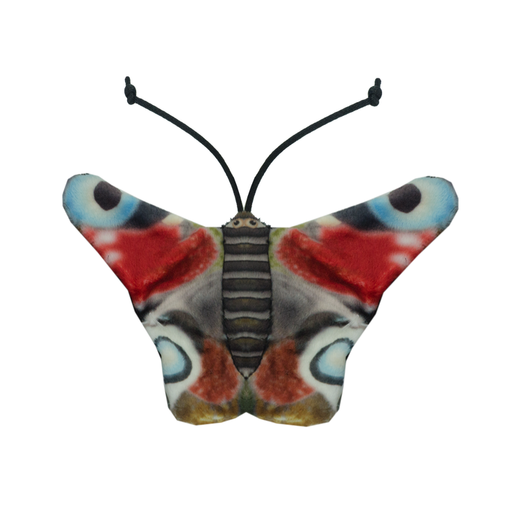 Foto van Wild Life Cat Peacock Butterfly (Dagpauwoog)