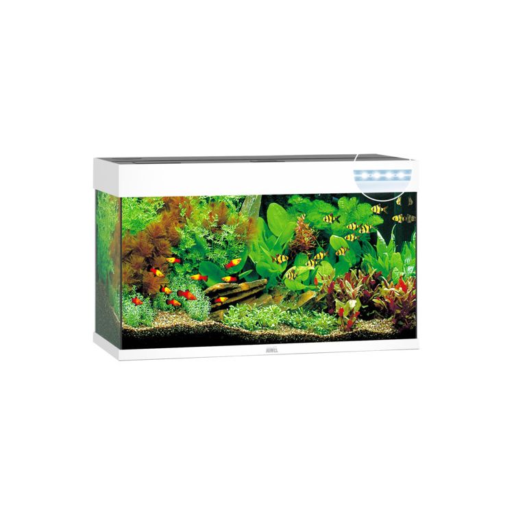 Foto van Juwel Aquarium Rio 125 LED