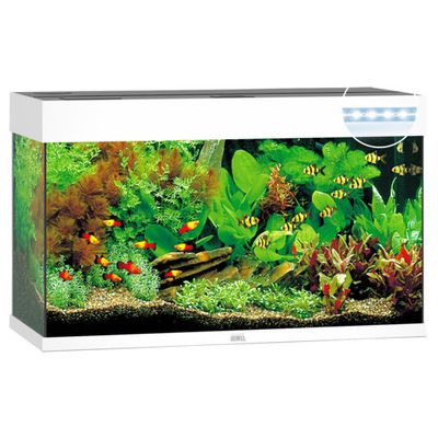Juwel Aquarium Rio 125 LED Foto van Juwel Aquarium Rio 125 LED