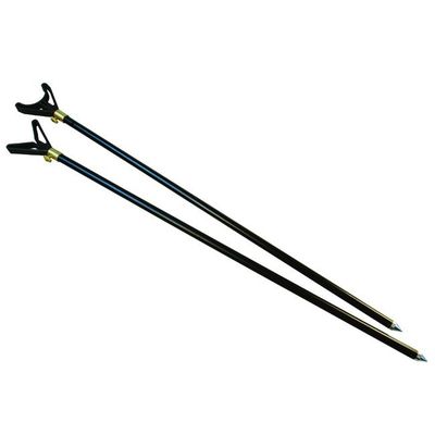 Foto van Albatros Karperst.Zwart 2X60 P.Set