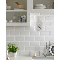 Geo Lijmplaat Levensmiddelenmot (Ephestia/Plodia)