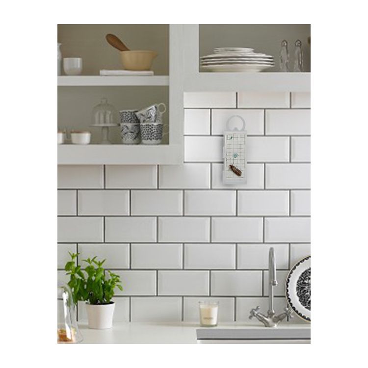 Foto van Geo Lijmplaat Levensmiddelenmot (Ephestia/Plodia)