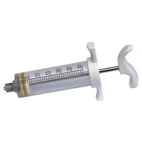 Nylonspuit 30ml Luer L