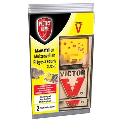 Foto van Protect Home Muizenval hout