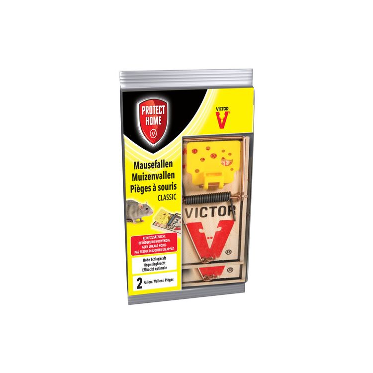 Protect Home Muizenval hout Foto van Protect Home Muizenval hout