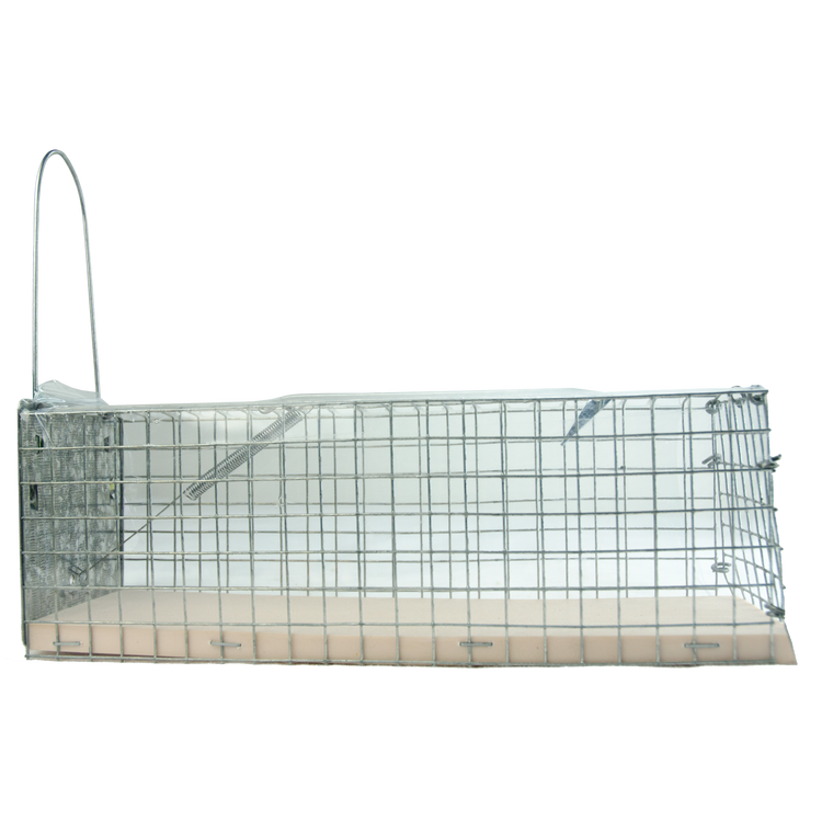 Foto van Rattenval inloop levend en Aliveen Kunststof bodem