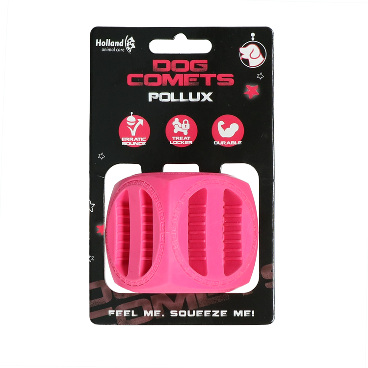 Foto van Dog Comets Pollux Roze