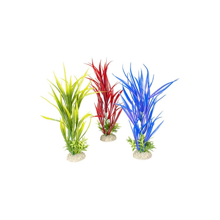 Foto van Aqua Della Decor plant amazone