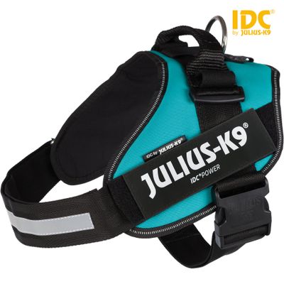 Foto van Julius IDC® Powertuig