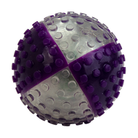 VisionSmart Visi-Ball transparant/paars