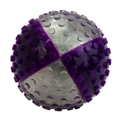 Foto van VisionSmart Visi-Ball transparant/paars