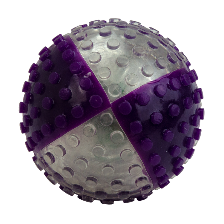 Foto van VisionSmart Visi-Ball transparant/paars