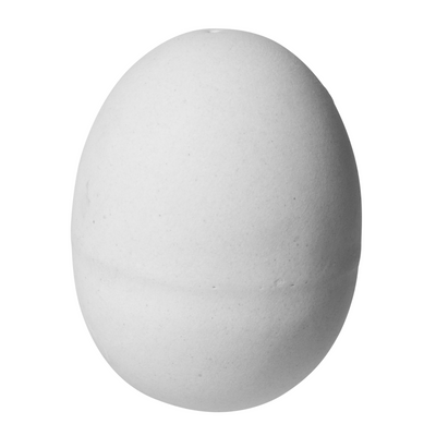 Fauna Stenen kippen-ei Foto van Fauna Stenen kippen-ei