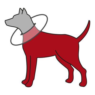 Foto van Trixie Beschermkraag polyester/schuimstof