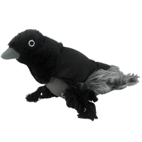 Wild Life Dog Raven (Raaf)