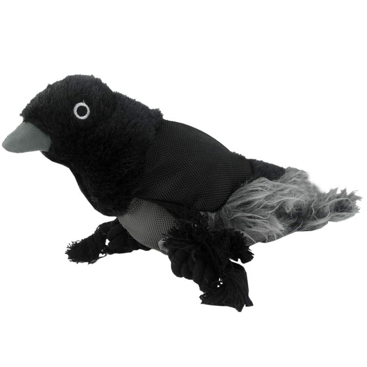 Foto van Wild Life Dog Raven (Raaf)