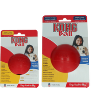 KONG Ball w/Hole M/L