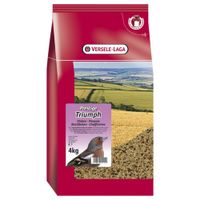 Versele-Laga Prestige Konkoersvink triumph