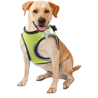 Foto van Pawise Doggy Safety Harness XS A:28-30cm B:32-37cm