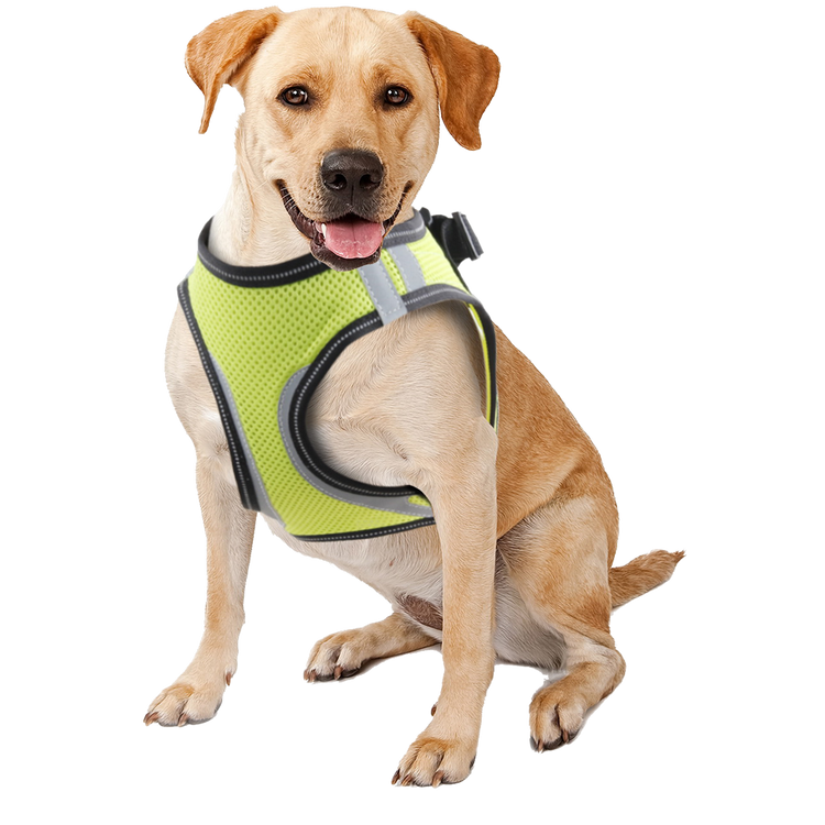 Foto van Pawise Doggy Safety Harness XS A:28-30cm B:32-37cm