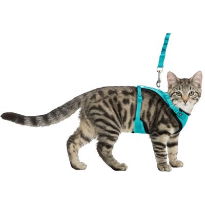 Foto van Trixie Mesh Y-tuig kat met elastische riem - 2 stuks