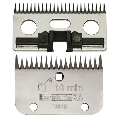 Foto van Constanta Rodeo R6 3mm 18/24tands