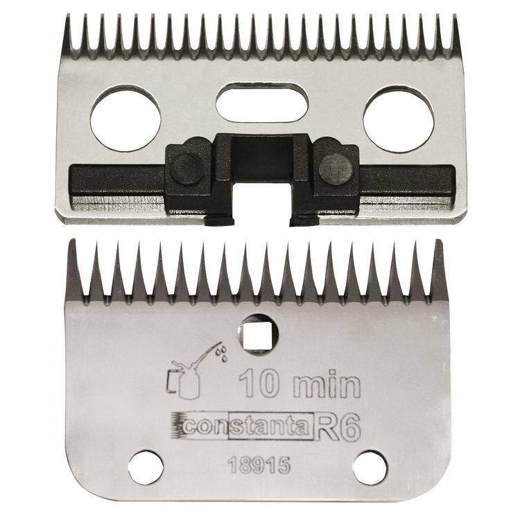 Foto van Constanta Rodeo R6 3mm 18/24tands