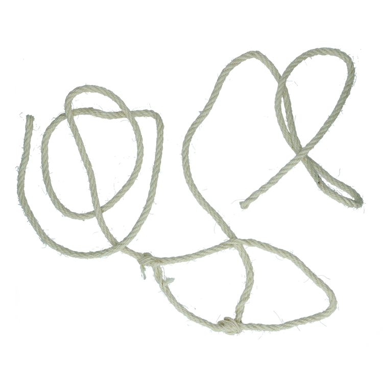 Foto van Stiertouwhalster met dun koptouw