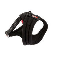 KONG Comfort harness M Black