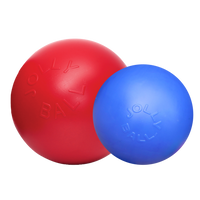 Jolly Ball Push-n-Play 25cm rood