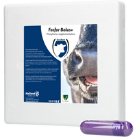 Fosfor Bolus+