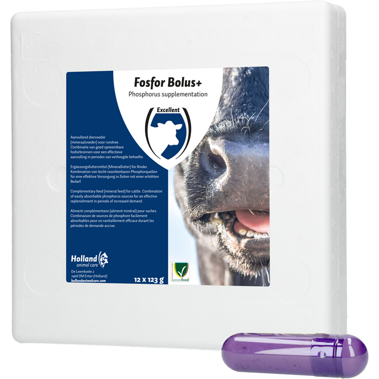 Foto van Fosfor Bolus+